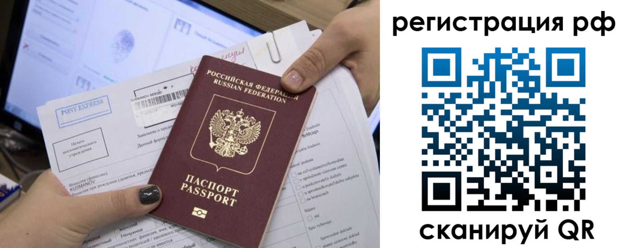 прописка гарантия в Брянской области